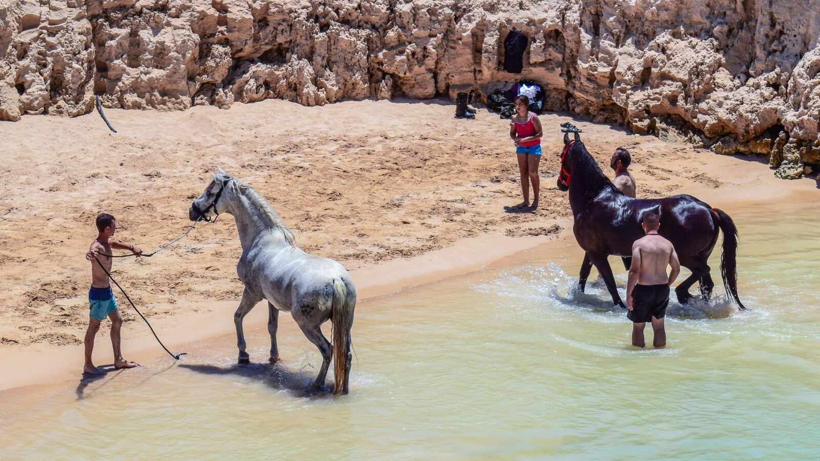 Nikon D3300 sample photo. Horses, taking bath, bathing photography