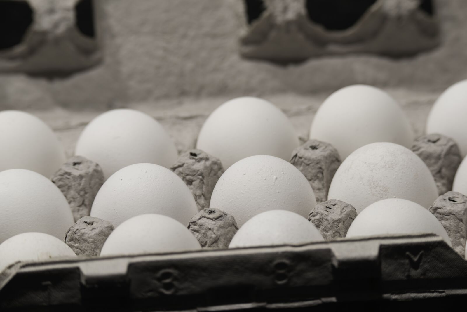 Nikon D810 sample photo. Eggs, carton, food photography