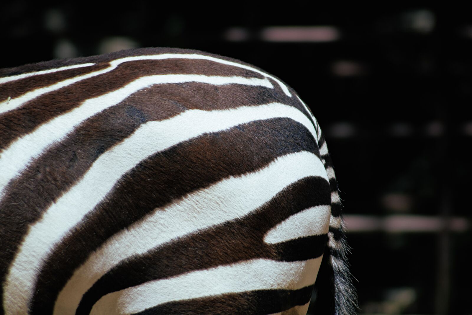 Canon EOS 750D (EOS Rebel T6i / EOS Kiss X8i) sample photo. Nature, outdoor, adventure photography