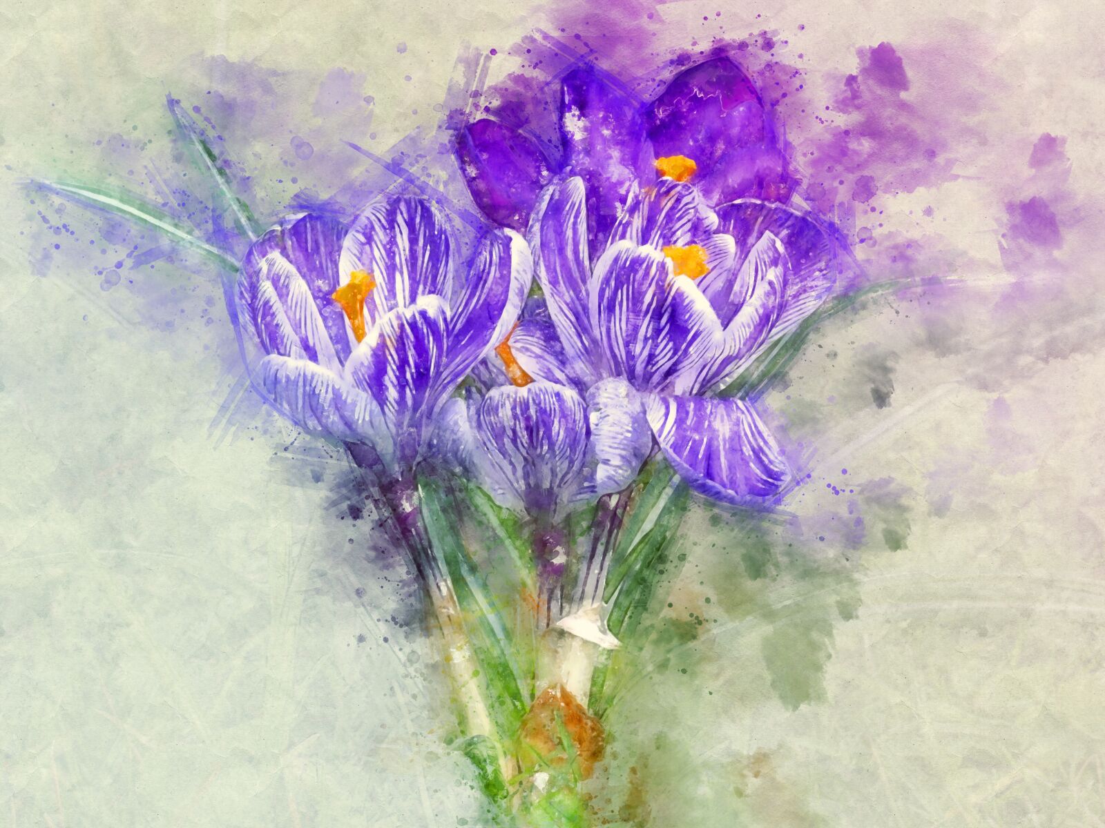 Sony DT 55-300mm F4.5-5.6 SAM sample photo. Crocus, schwertliliengewaechs, flower photography