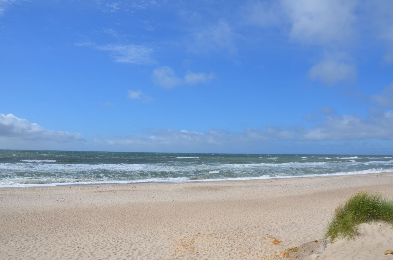 Nikon D5100 sample photo. Denmark, beach, sea photography