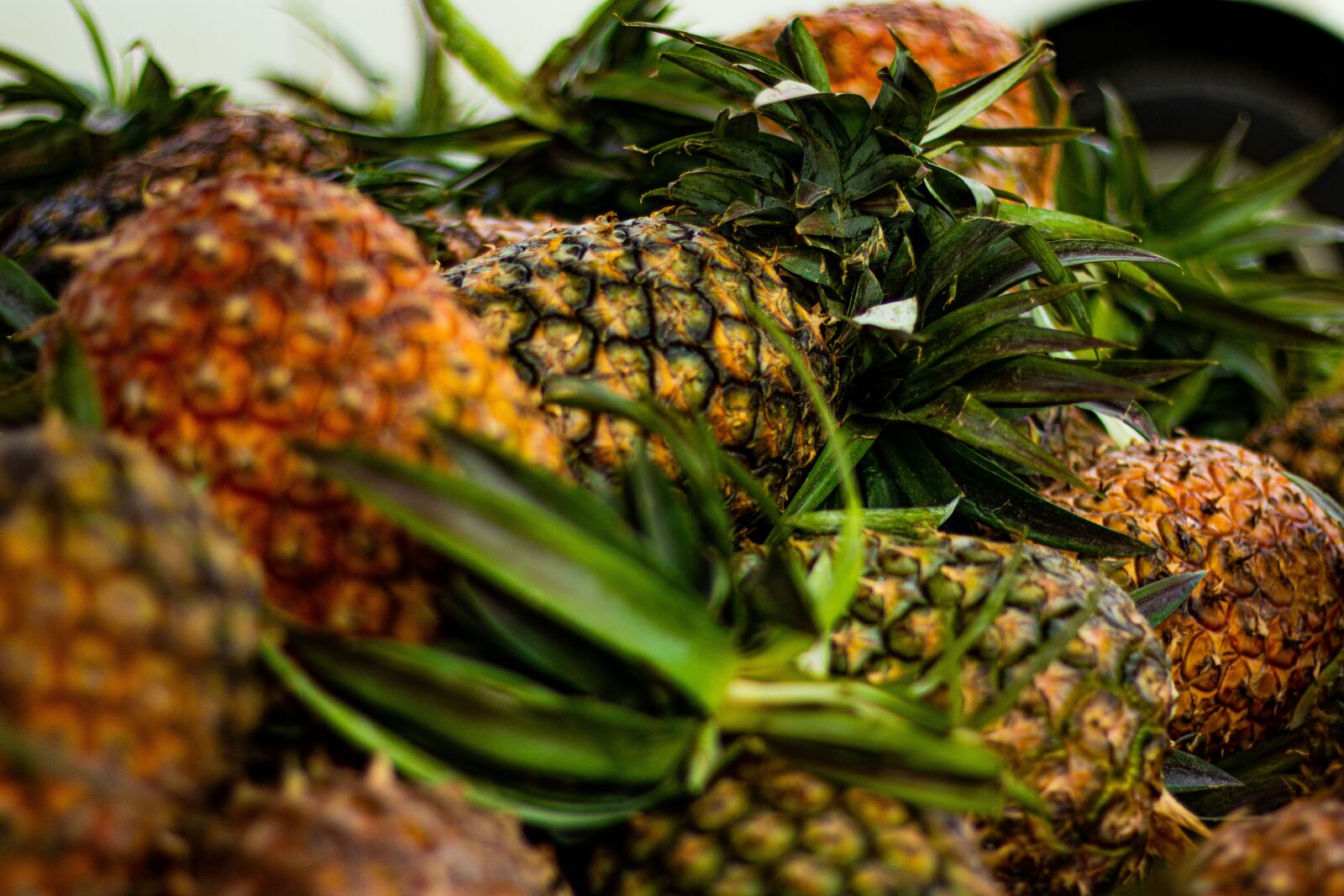 Canon EF 50mm F1.8 STM sample photo. Fruit, pineapple, tropical photography
