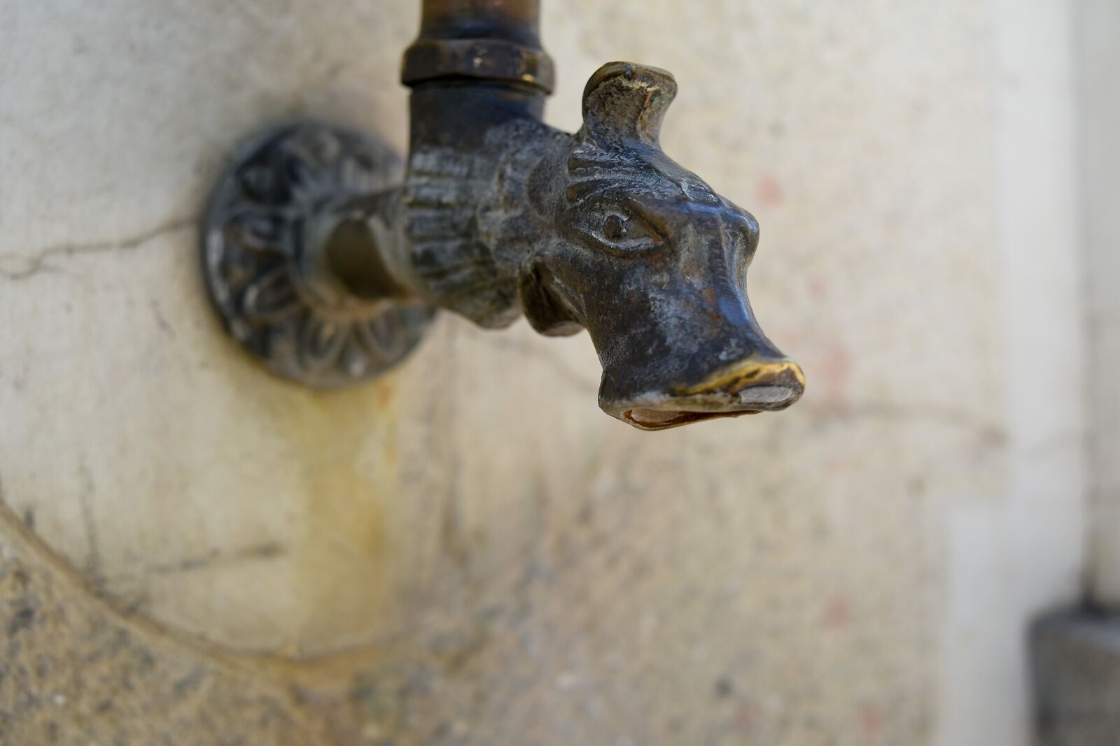 Nikon D5500 sample photo. Decoration, faucet, sculpture, device photography