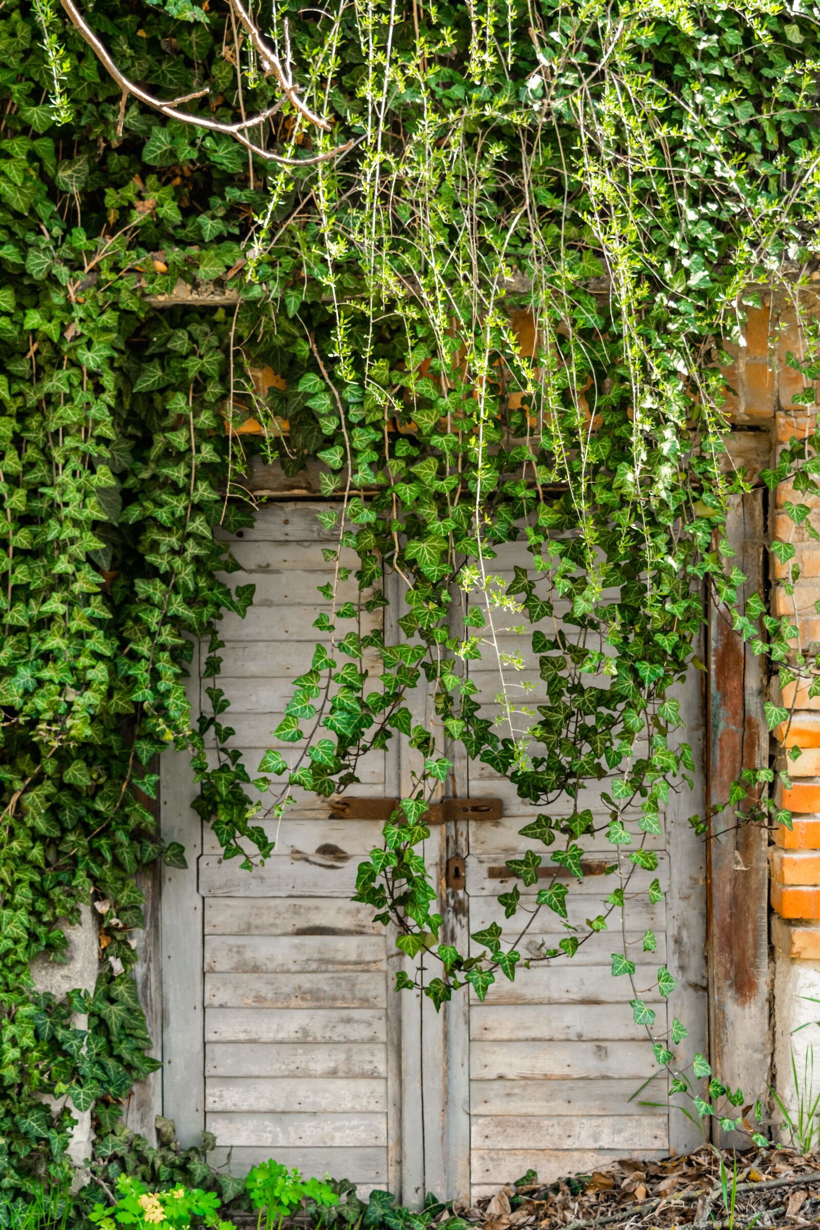 Nikon D5300 sample photo. Cellar, cellar entrance, cellar photography