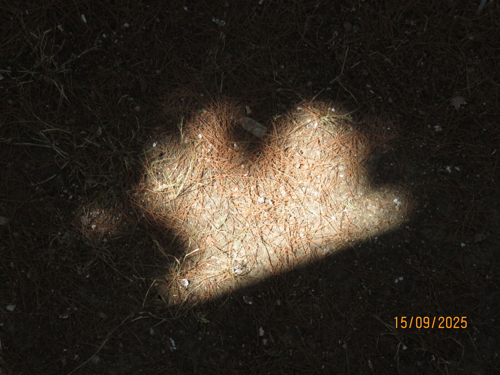 Canon PowerShot SX700 HS sample photo. Carved by shadows photography
