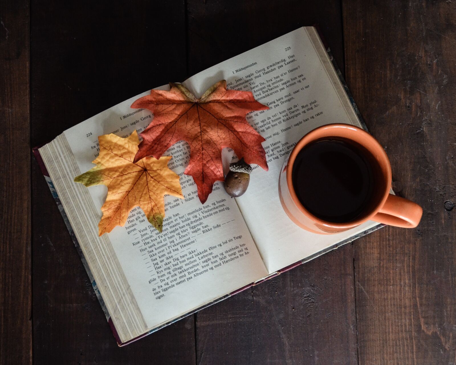 Nikon D5100 sample photo. Open book, book, mug photography