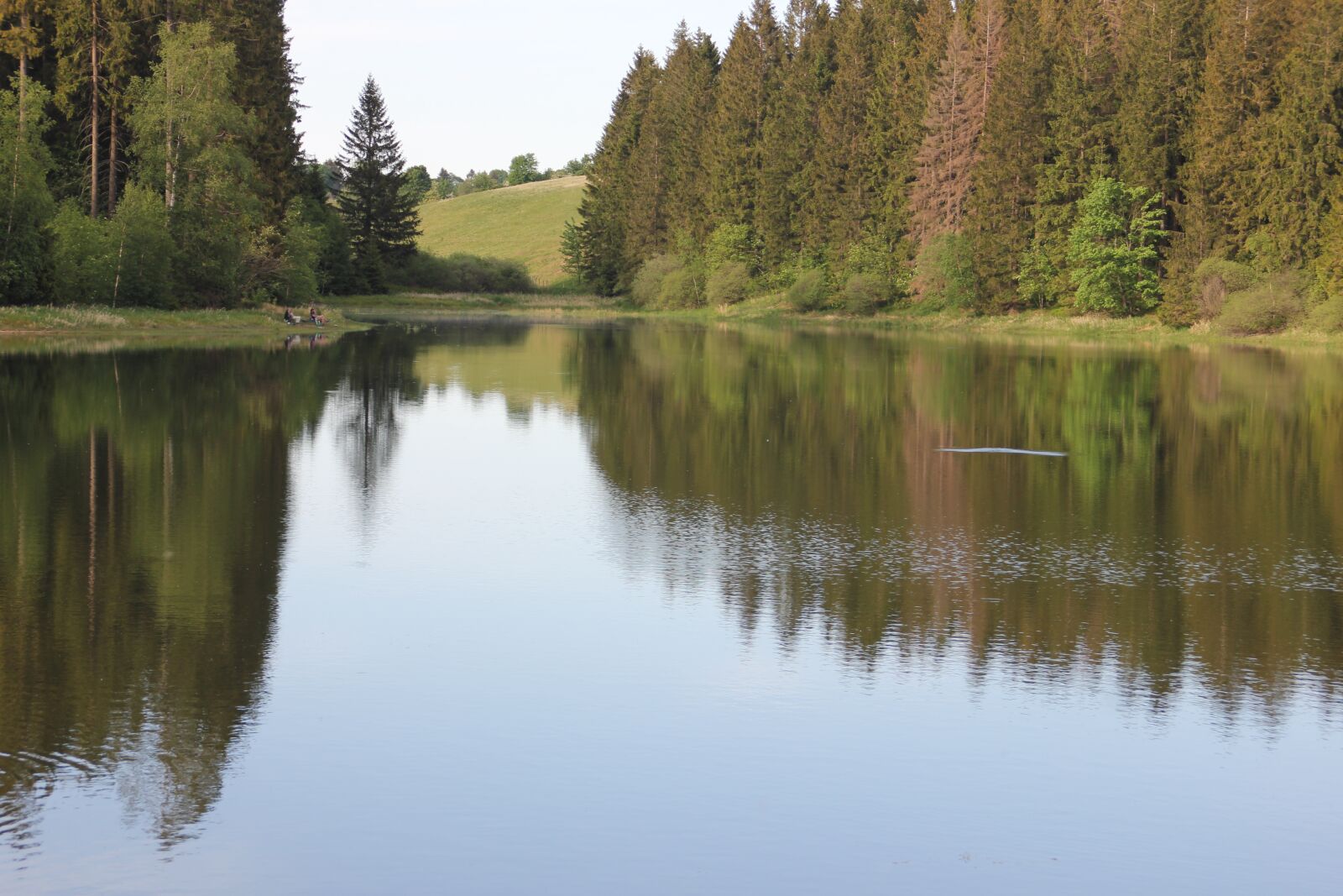 Canon EOS 550D (EOS Rebel T2i / EOS Kiss X4) sample photo. Pond, oberharz, ponds photography