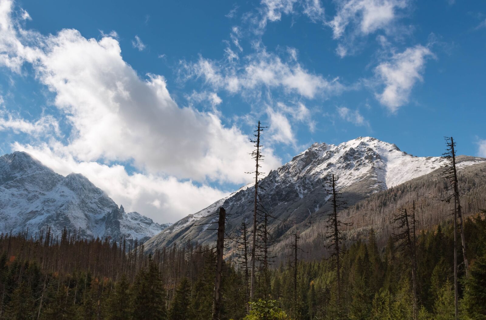 Canon EOS 700D (EOS Rebel T5i / EOS Kiss X7i) sample photo. Mountains, tatry, snow photography