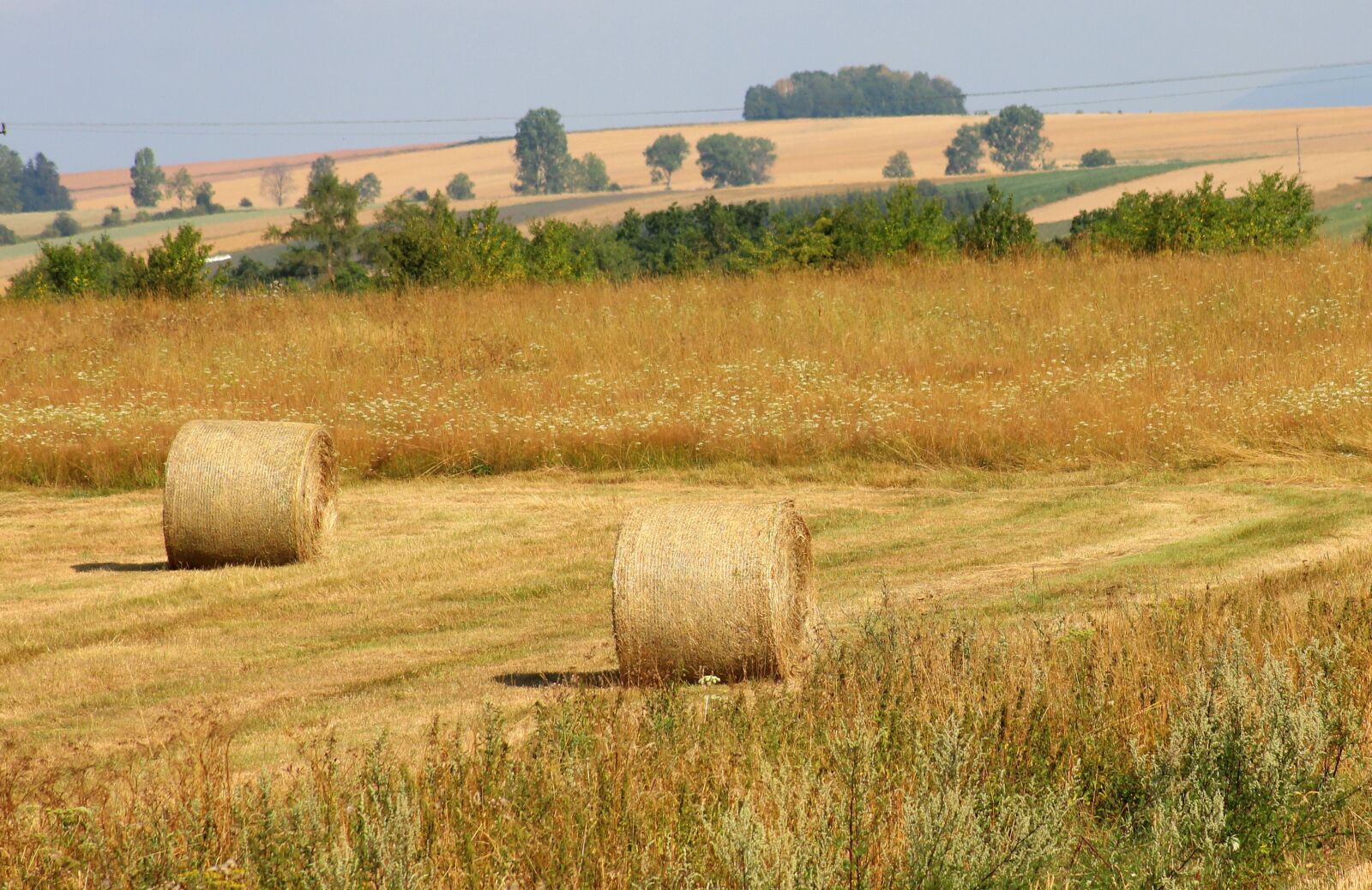 Canon EOS 1200D (EOS Rebel T5 / EOS Kiss X70 / EOS Hi) sample photo. Summer, harvest, straw photography
