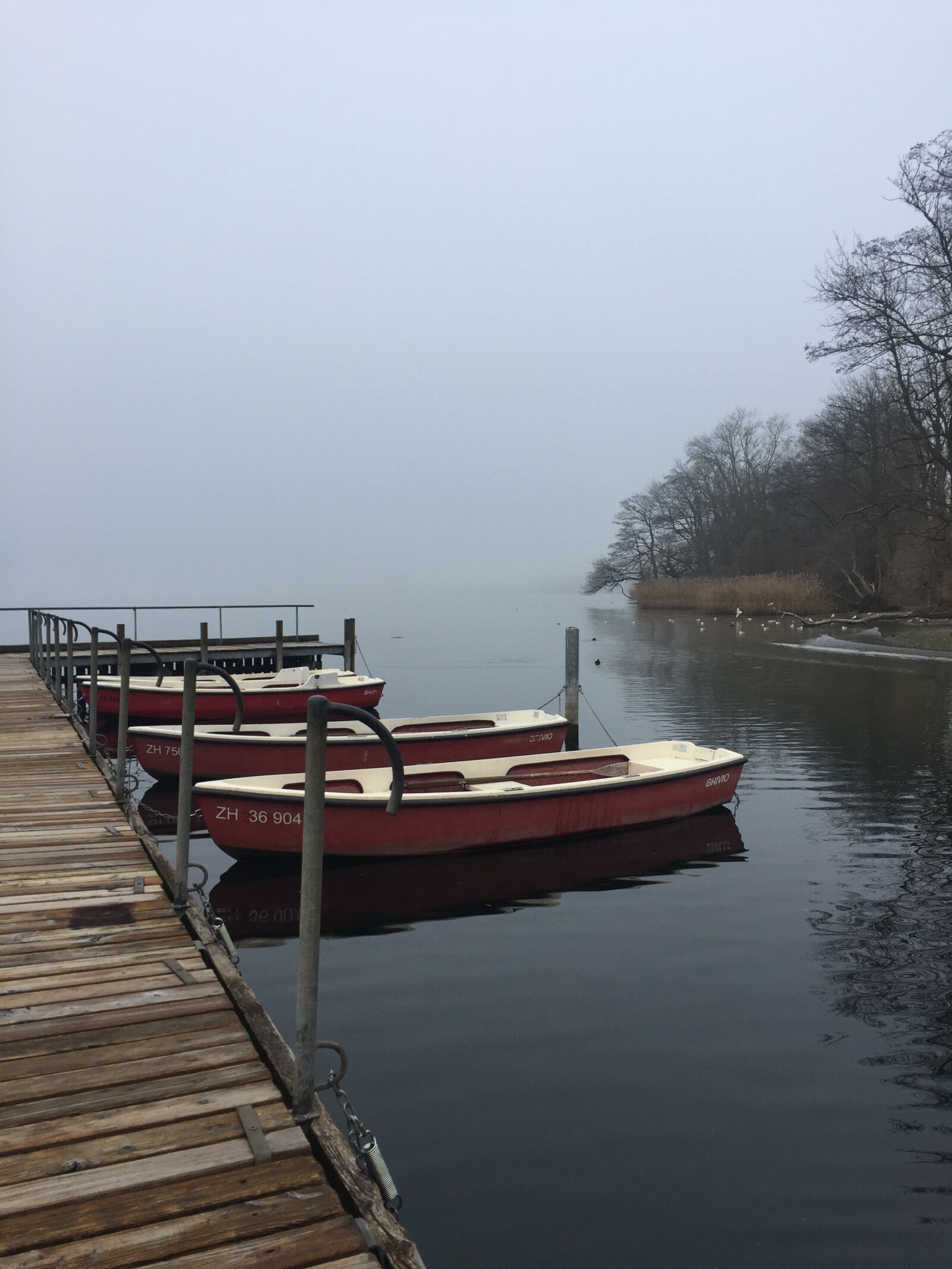 Apple iPhone 6 sample photo. Mist, boats, mooring photography