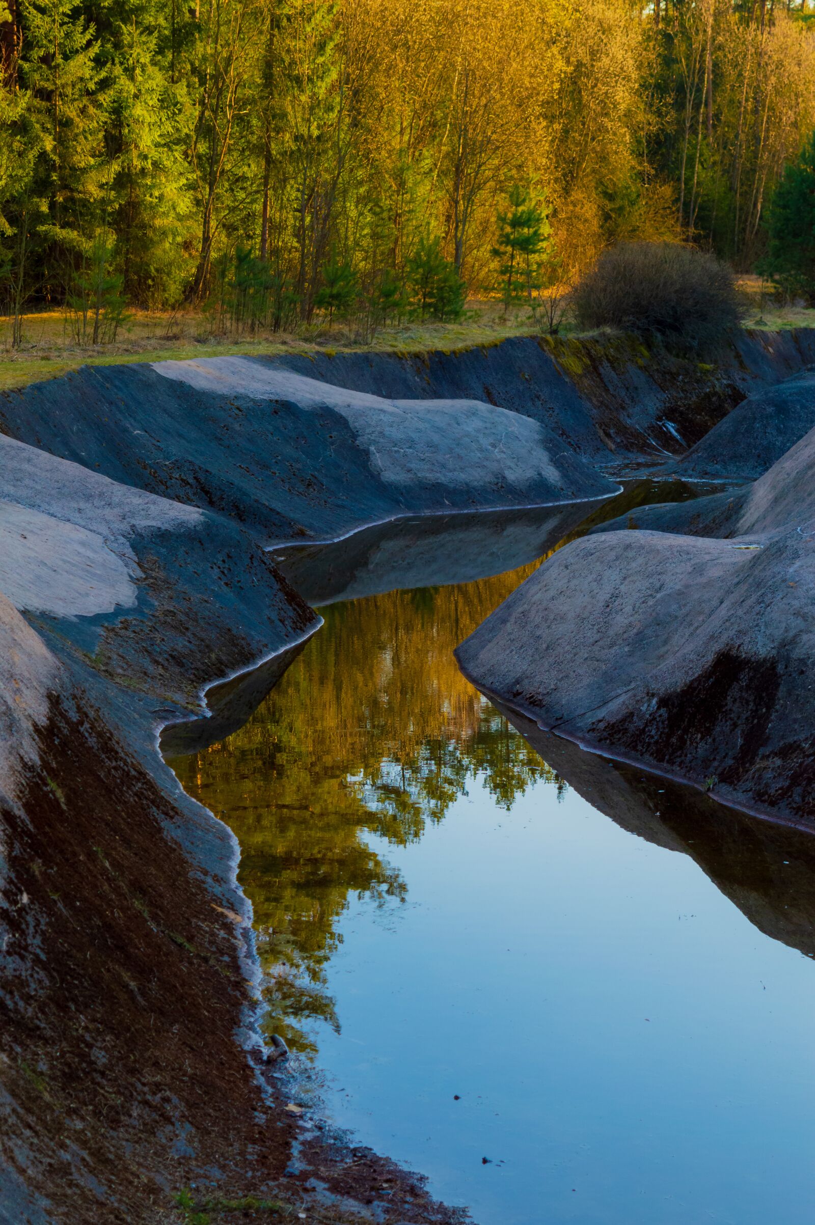 Nikon D3200 sample photo. River in the forest photography