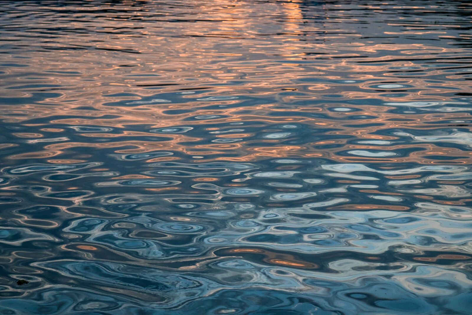 Canon EOS 800D (EOS Rebel T7i / EOS Kiss X9i) sample photo. Water, color, dawn photography