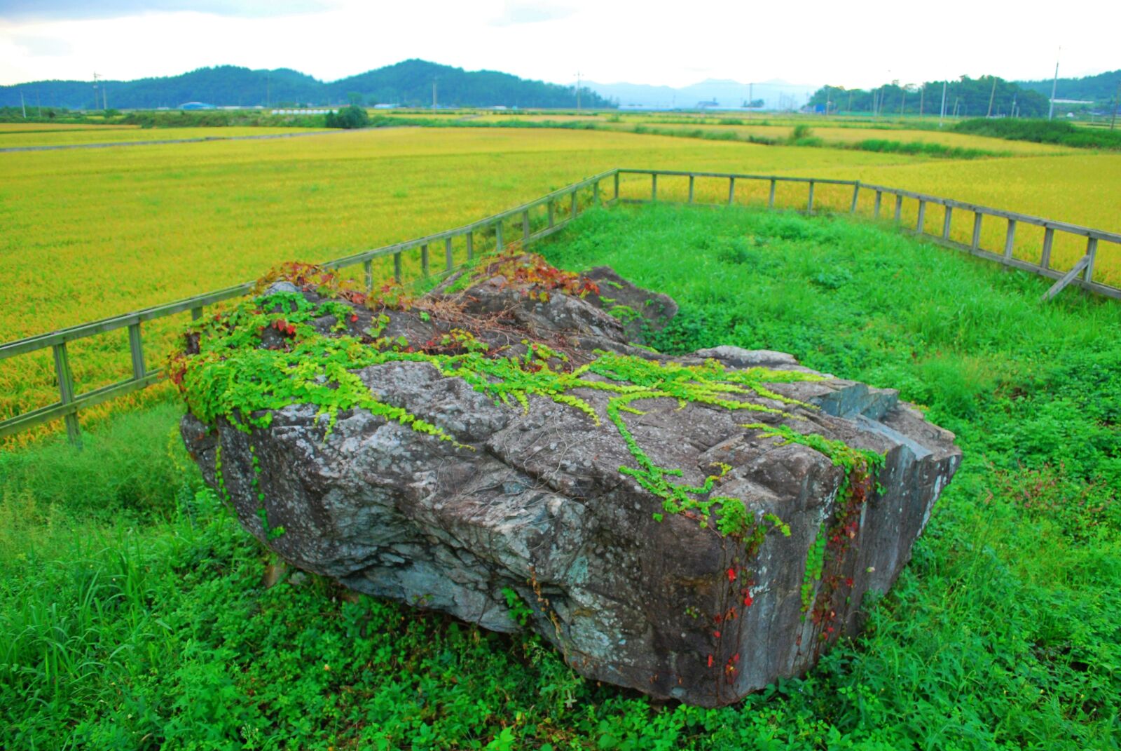 Nikon D60 sample photo. Dolmen, stone age, plain photography