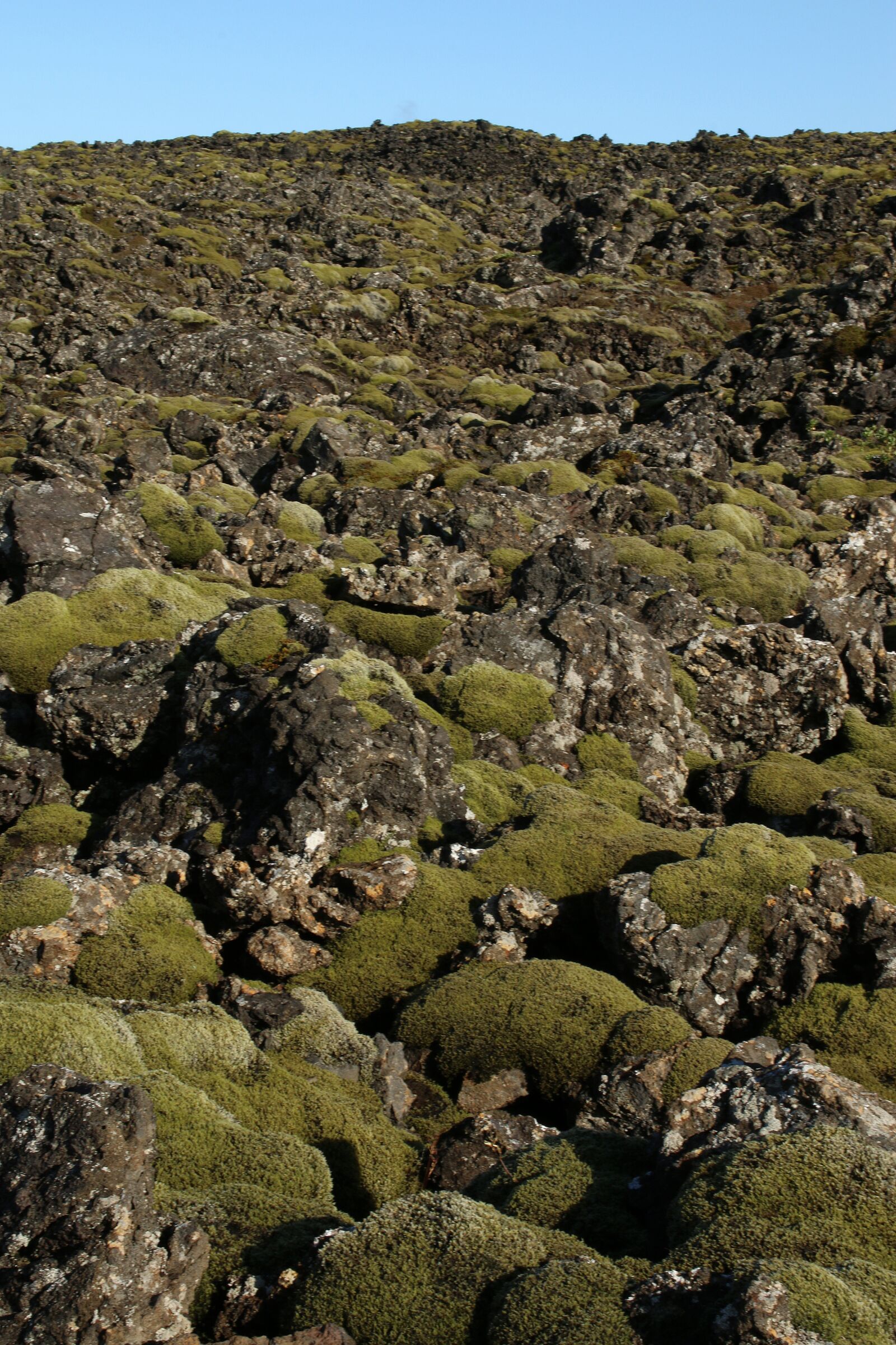 Canon EOS 70D sample photo. Lava field, iceland landscape photography