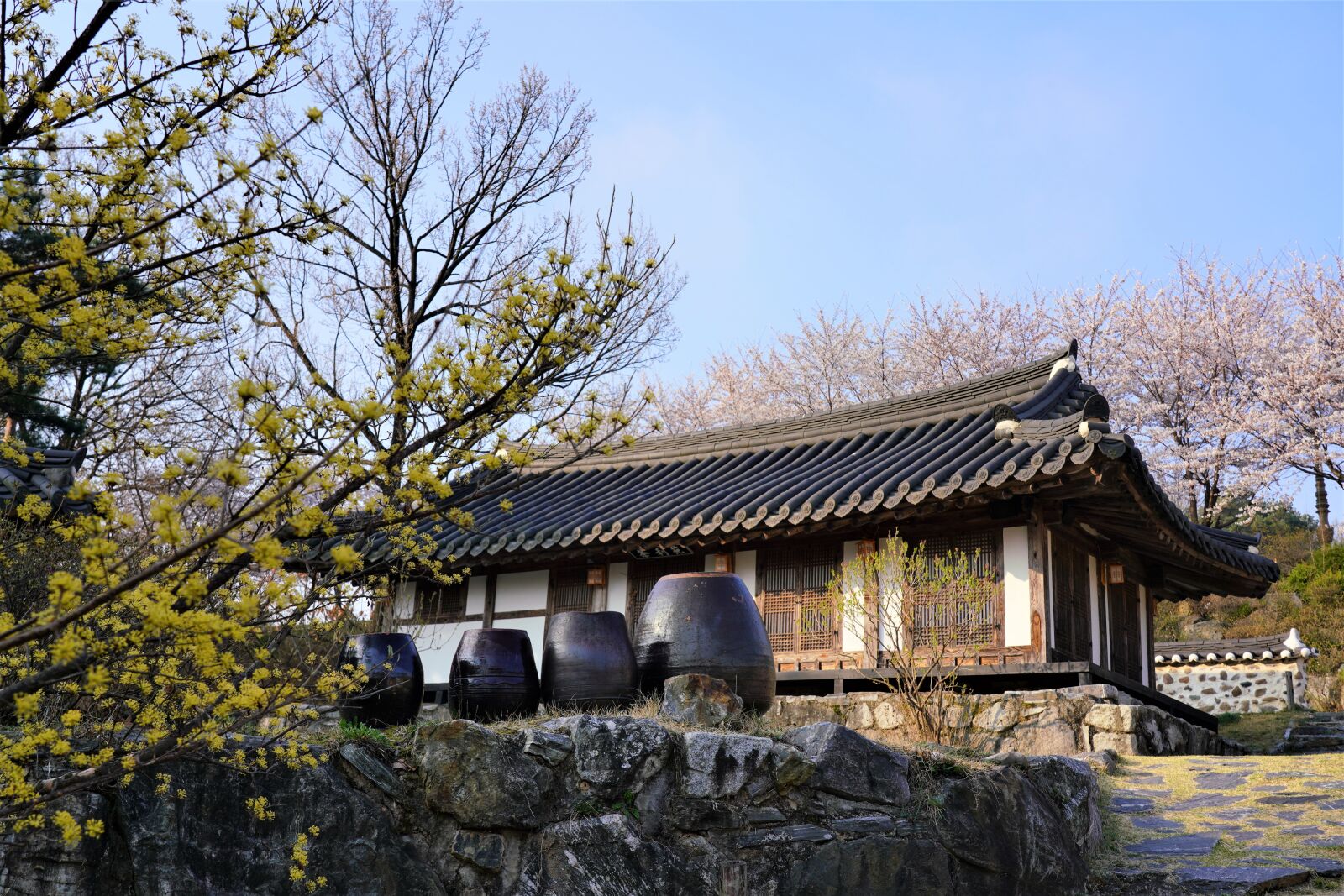 Sony a7R III sample photo. Korea, traditional house, traditional photography