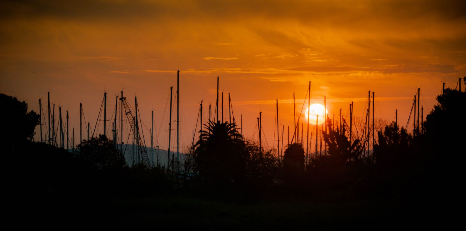 Nikon D5600 sample photo. Sun, sunrise, sky photography