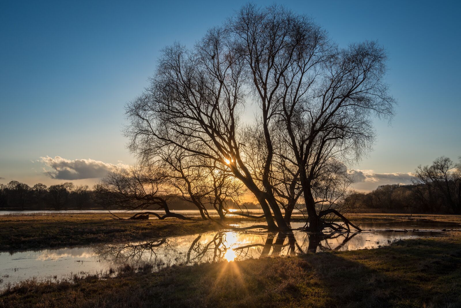 Nikon D7200 sample photo. Elbe, high water, evening photography
