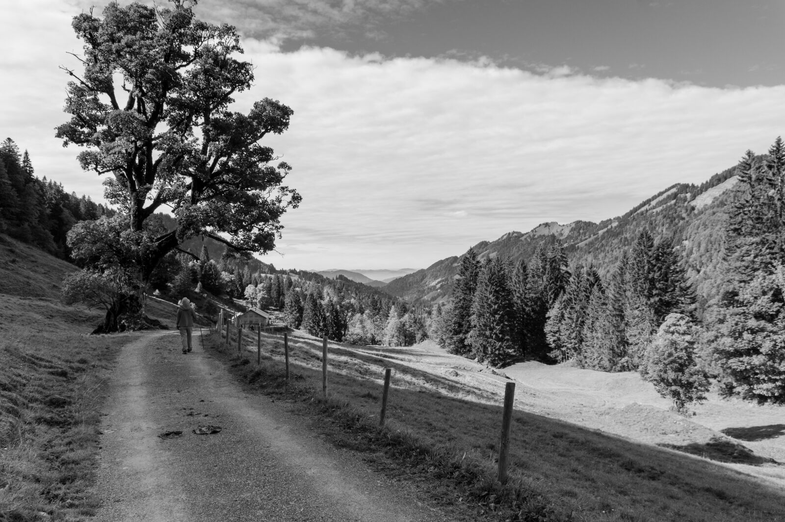 Sony SLT-A58 sample photo. Black and white, mountains photography