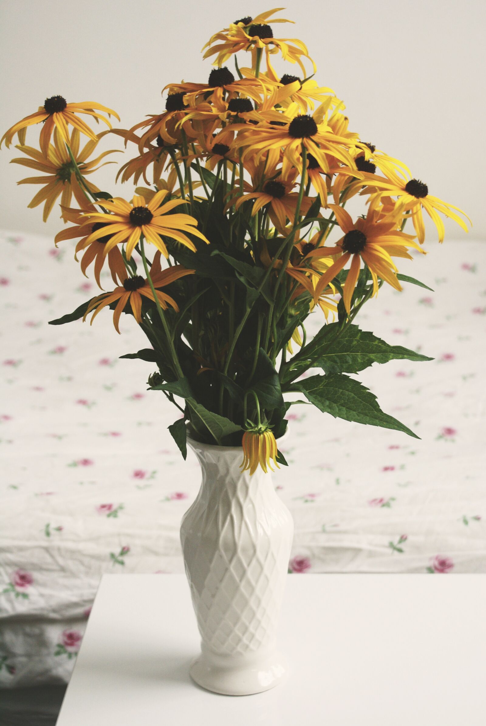 Sony Alpha DSLR-A100 sample photo. Yellow flowers, flowers, blossom photography