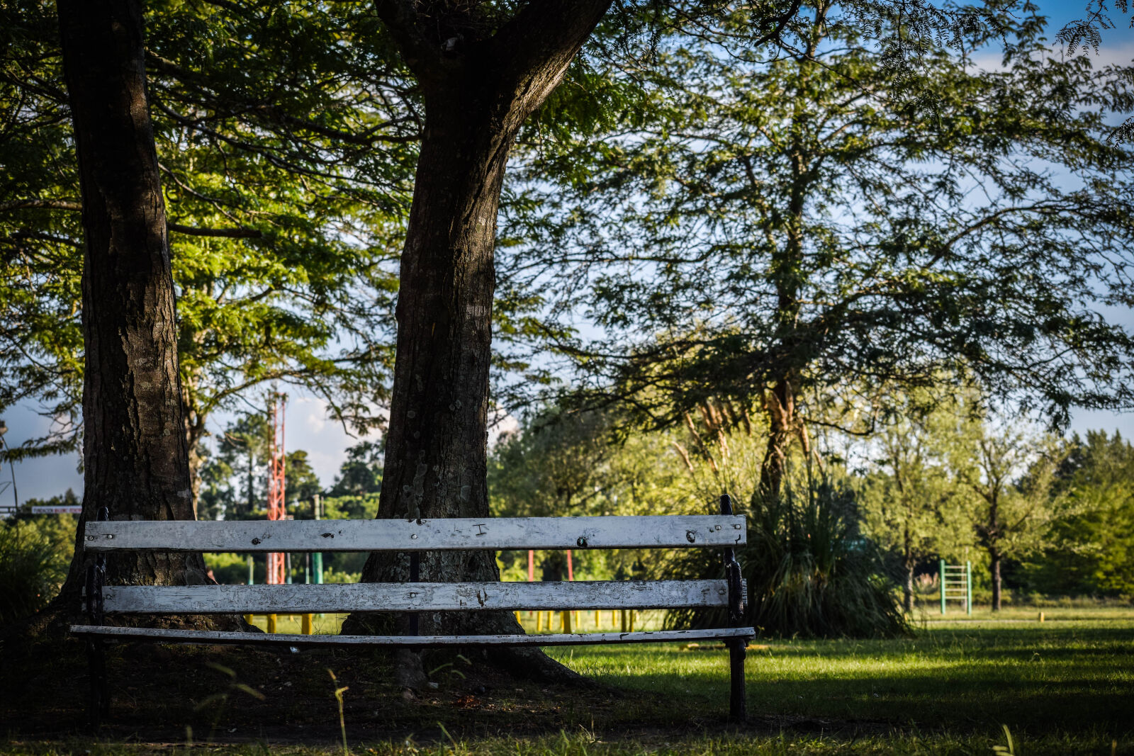 Nikon D5300 sample photo. Adobe, lightroom, argentina, buenos photography