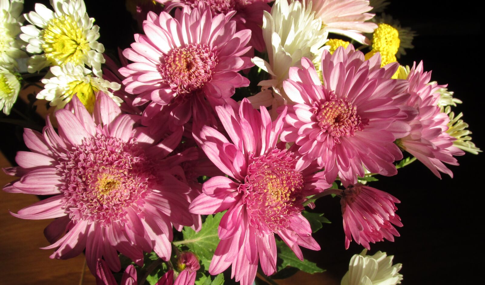Canon PowerShot SX170 IS sample photo. Chrysanthemums, flowers, bunch photography