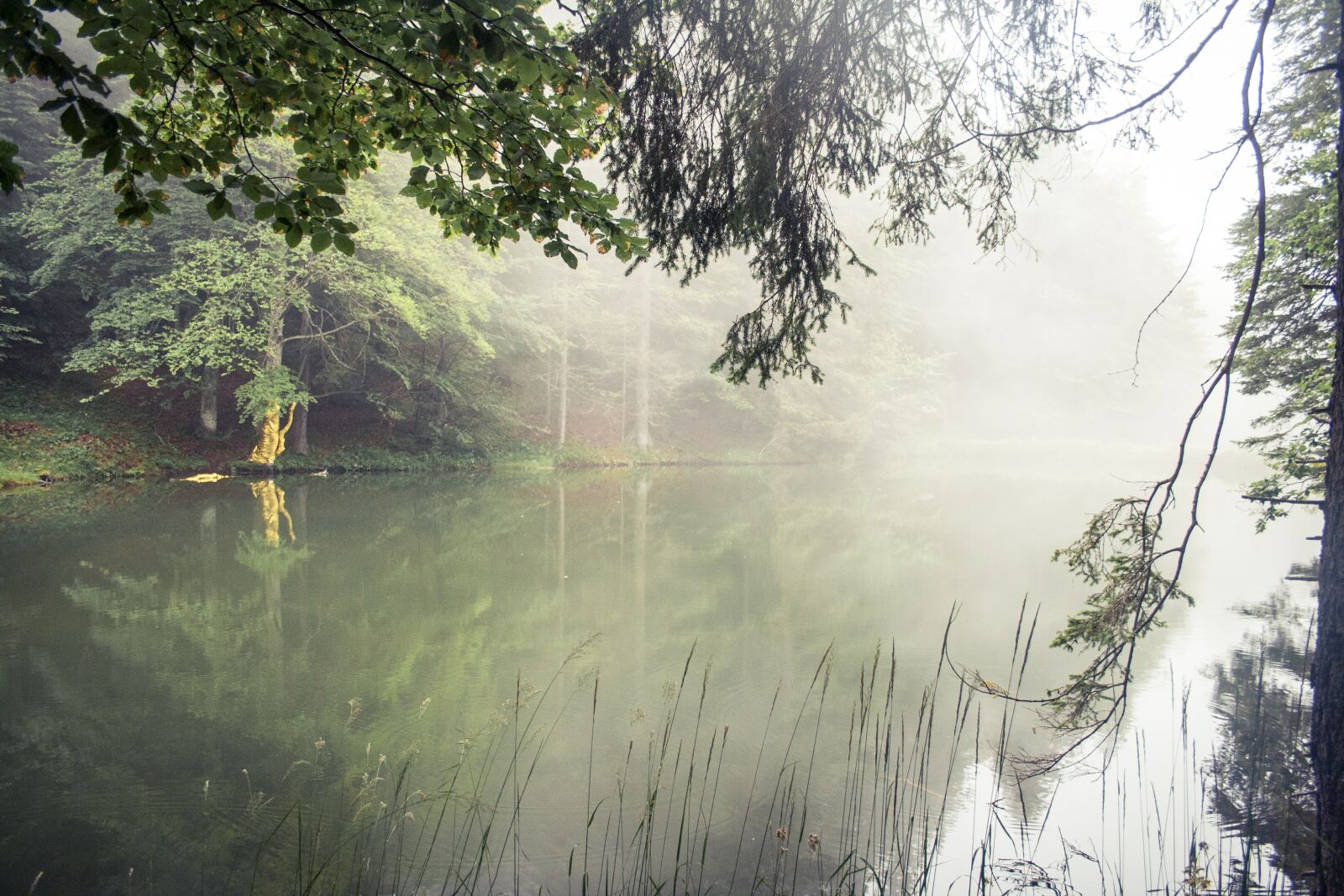 Canon EF-S 18-55mm F3.5-5.6 II sample photo. Fog, lake, water photography