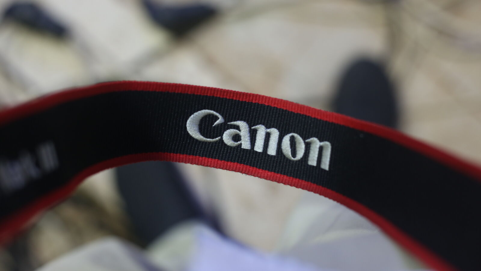Canon EOS 5D Mark III + Canon EF 50mm F1.8 STM sample photo