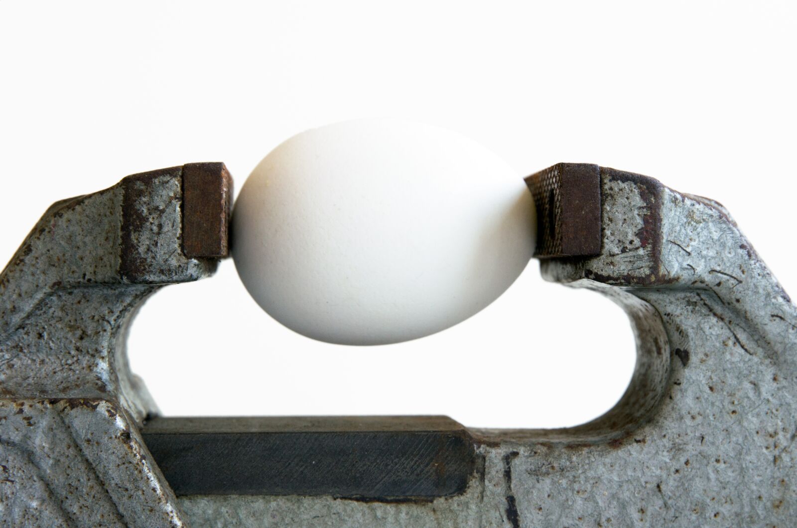 Nikon D5100 sample photo. Vise, egg, press photography