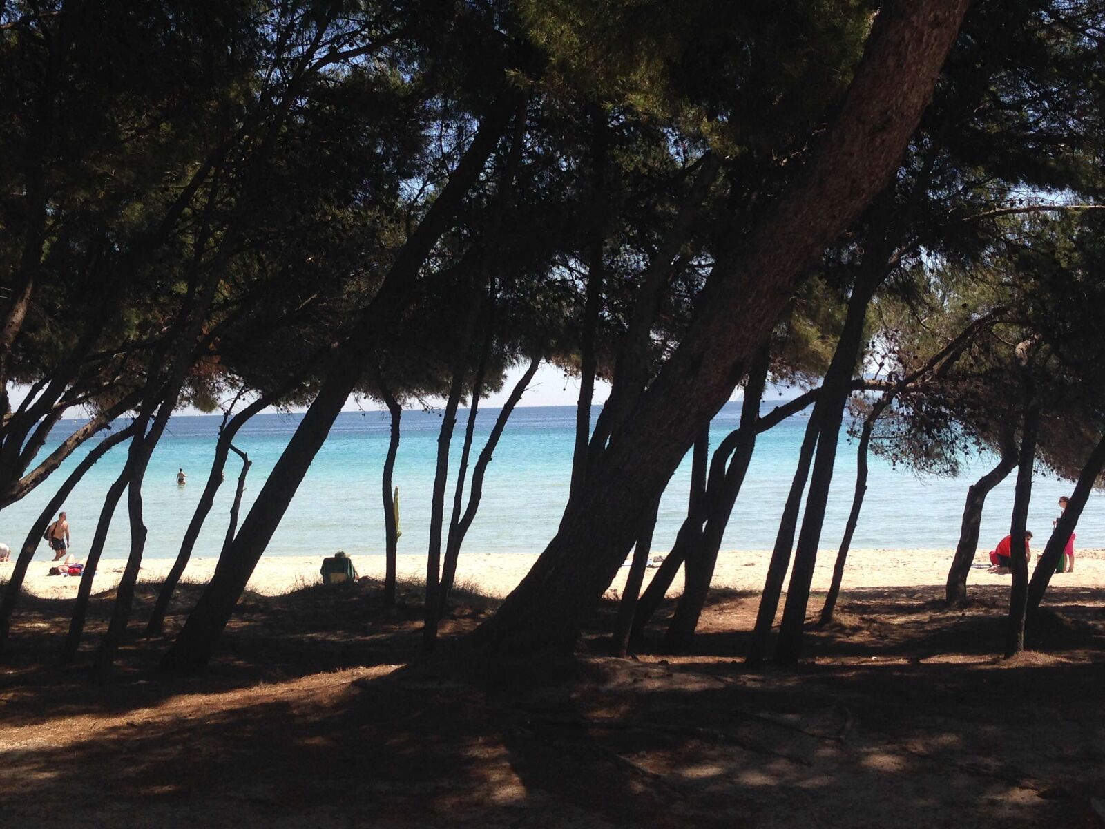 iPhone 5 back camera 4.12mm f/2.4 sample photo. Alcudia, mallorca, spain photography