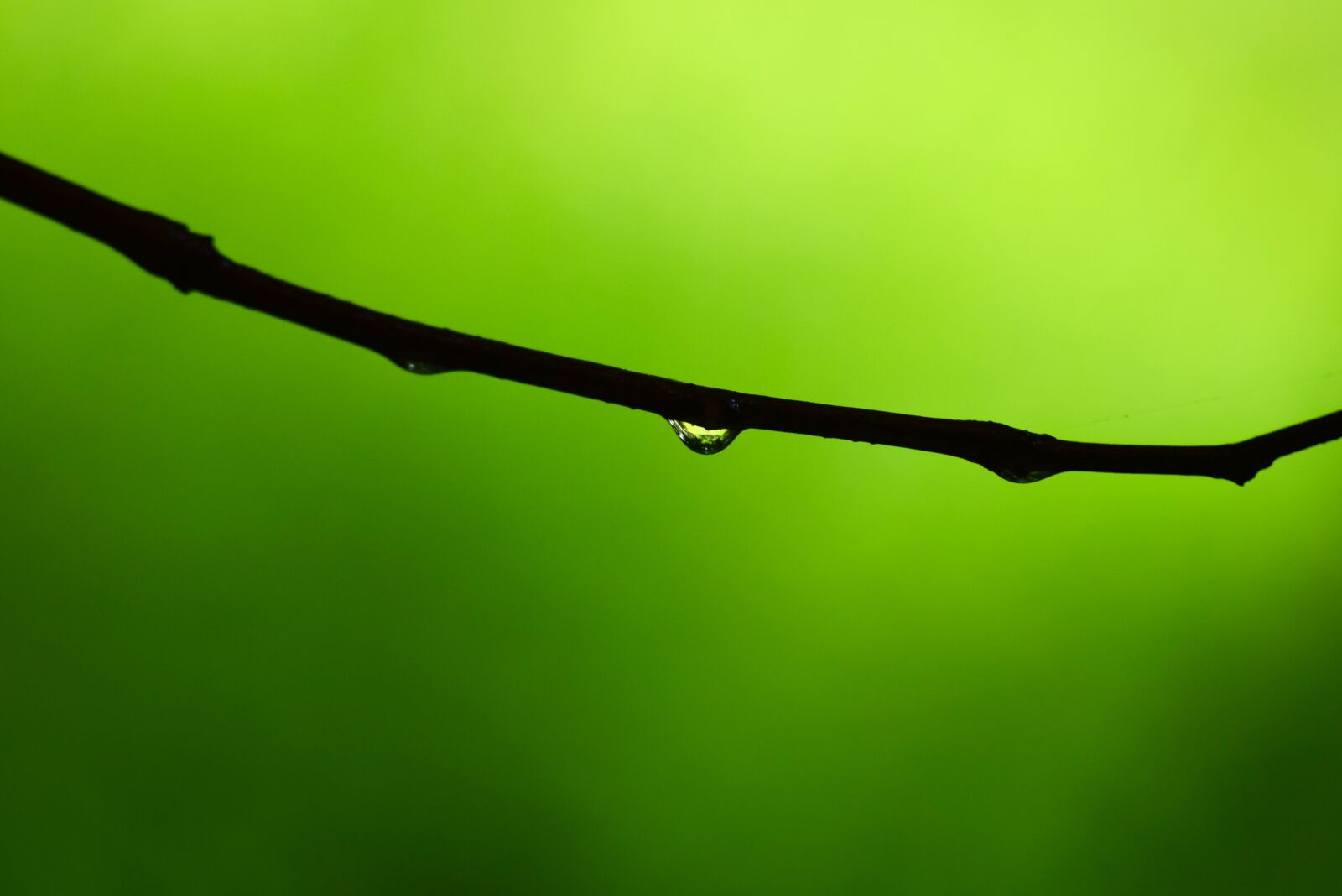 Nikon D3300 sample photo. Nature, dawn, outdoors photography