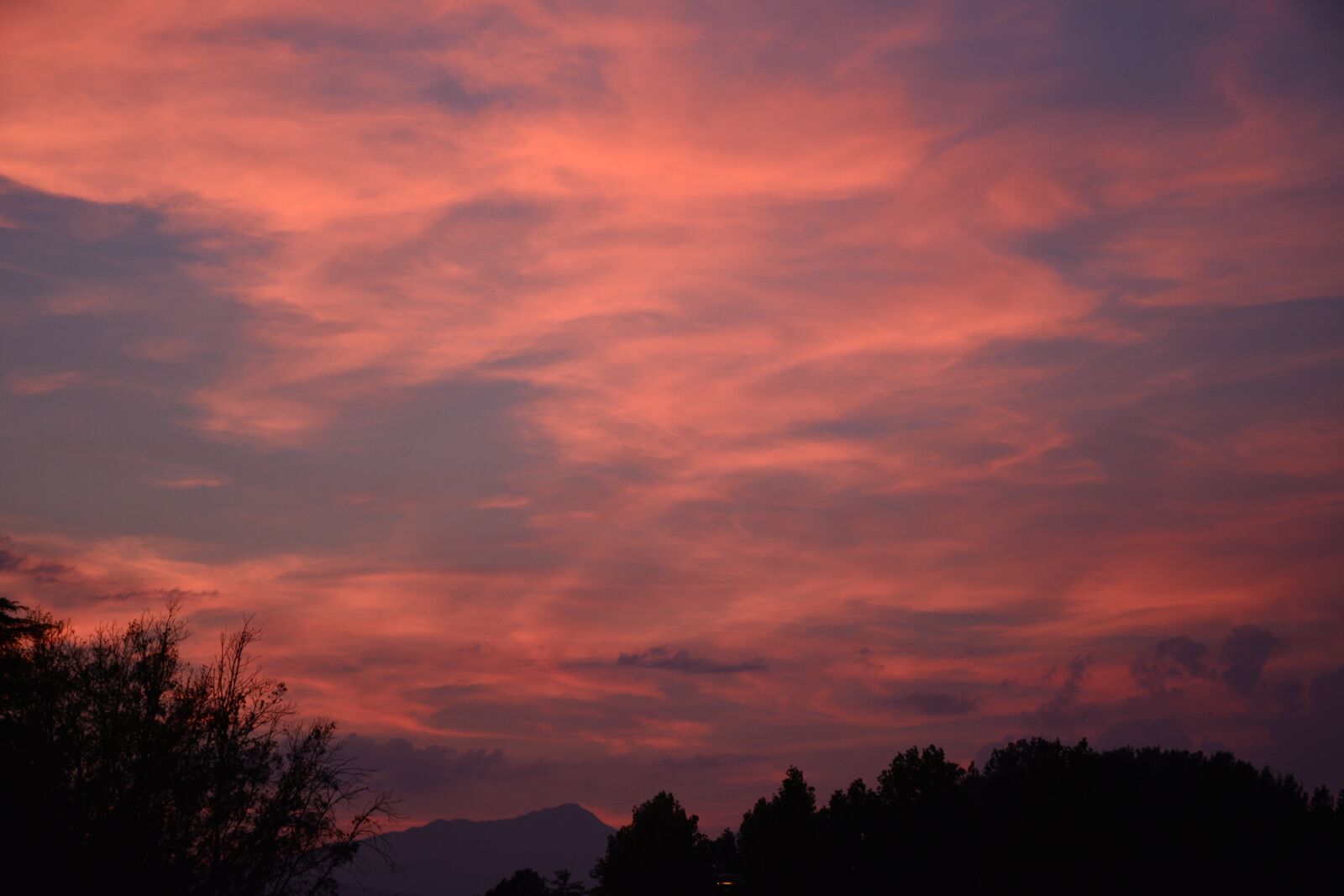 Nikon D5200 sample photo. Sunset, lucca, tuscany photography