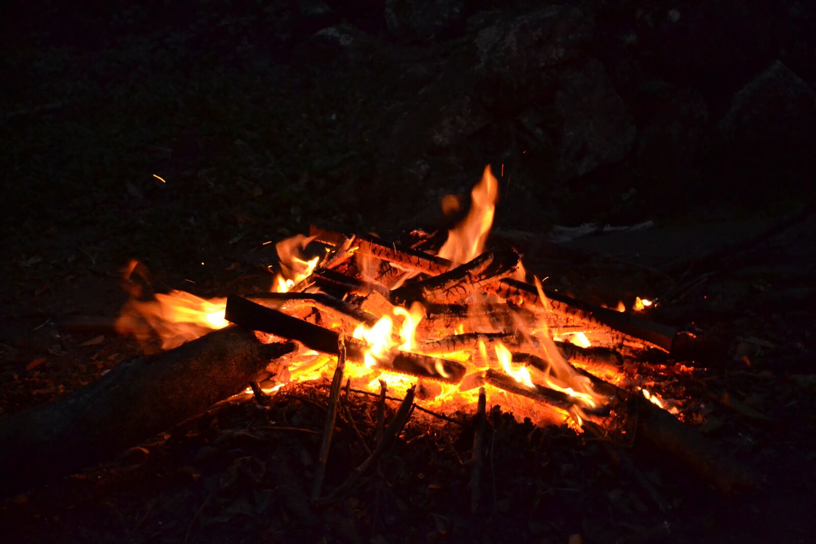 Nikon D3100 sample photo. Fire, coal, the embers photography