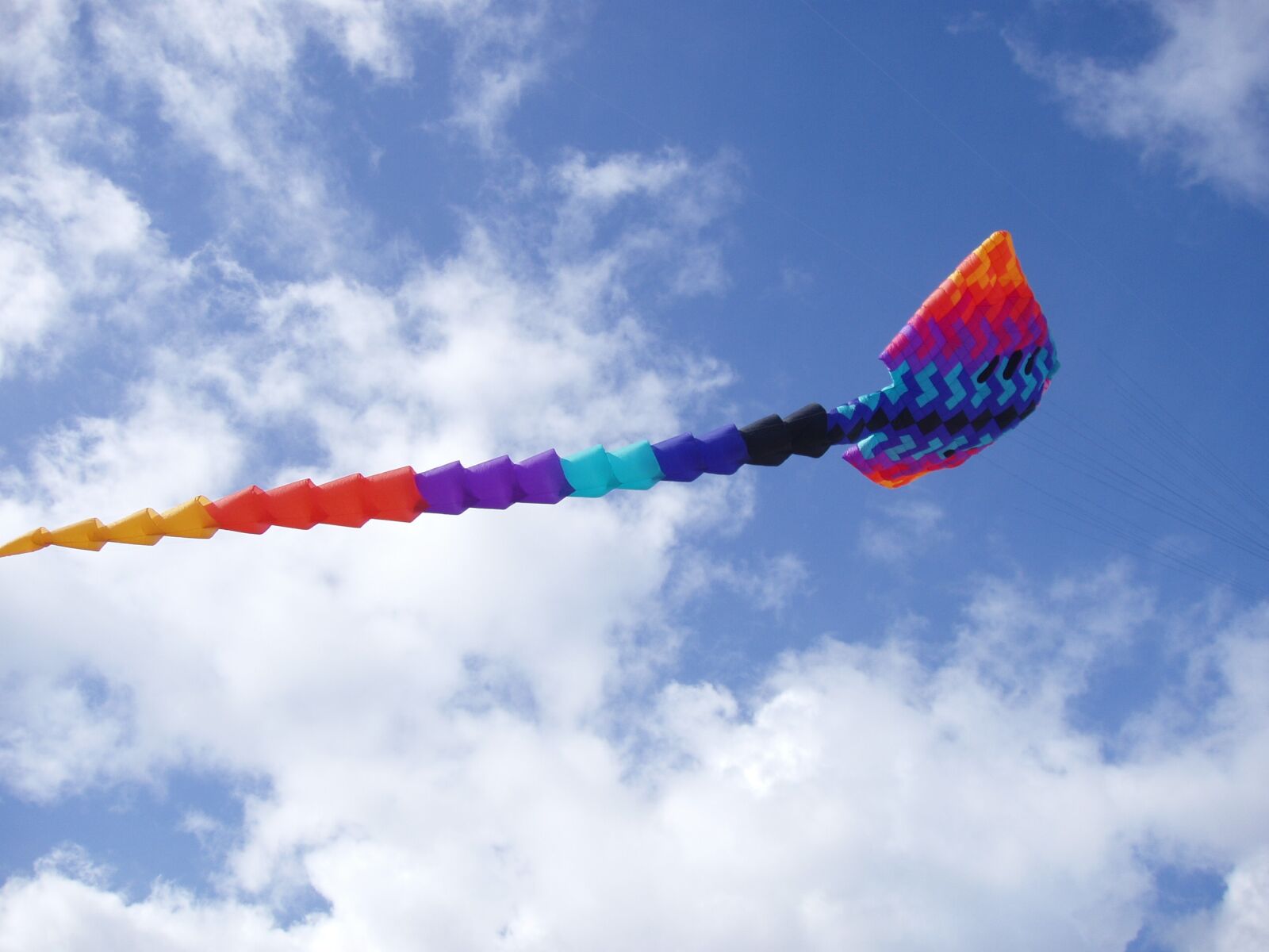 Olympus C-5000Z sample photo. Kite, sky, summer photography