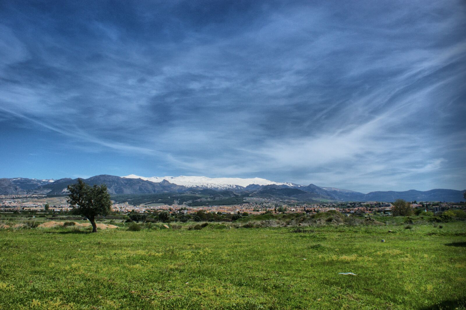 Sony Alpha DSLR-A350 sample photo. Sierra, nevada, field photography