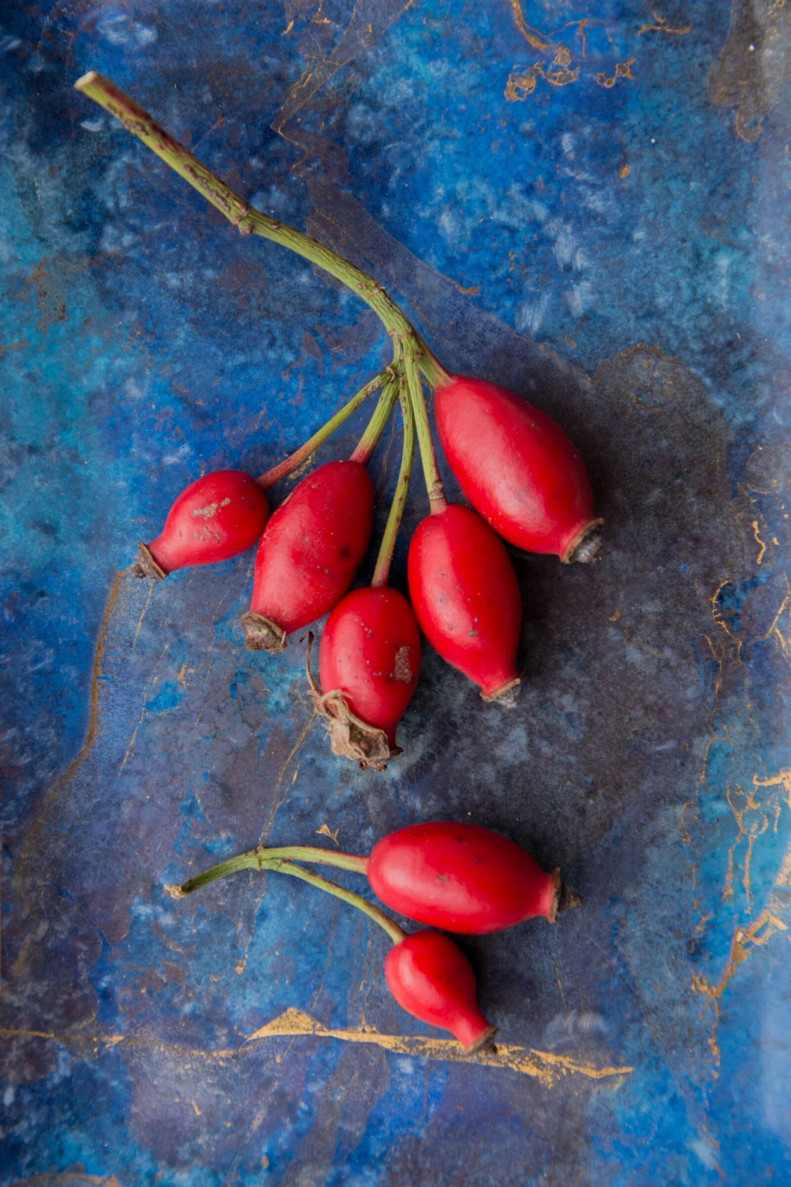Nikon D7200 sample photo. Rosehip, rosebush seed, red photography