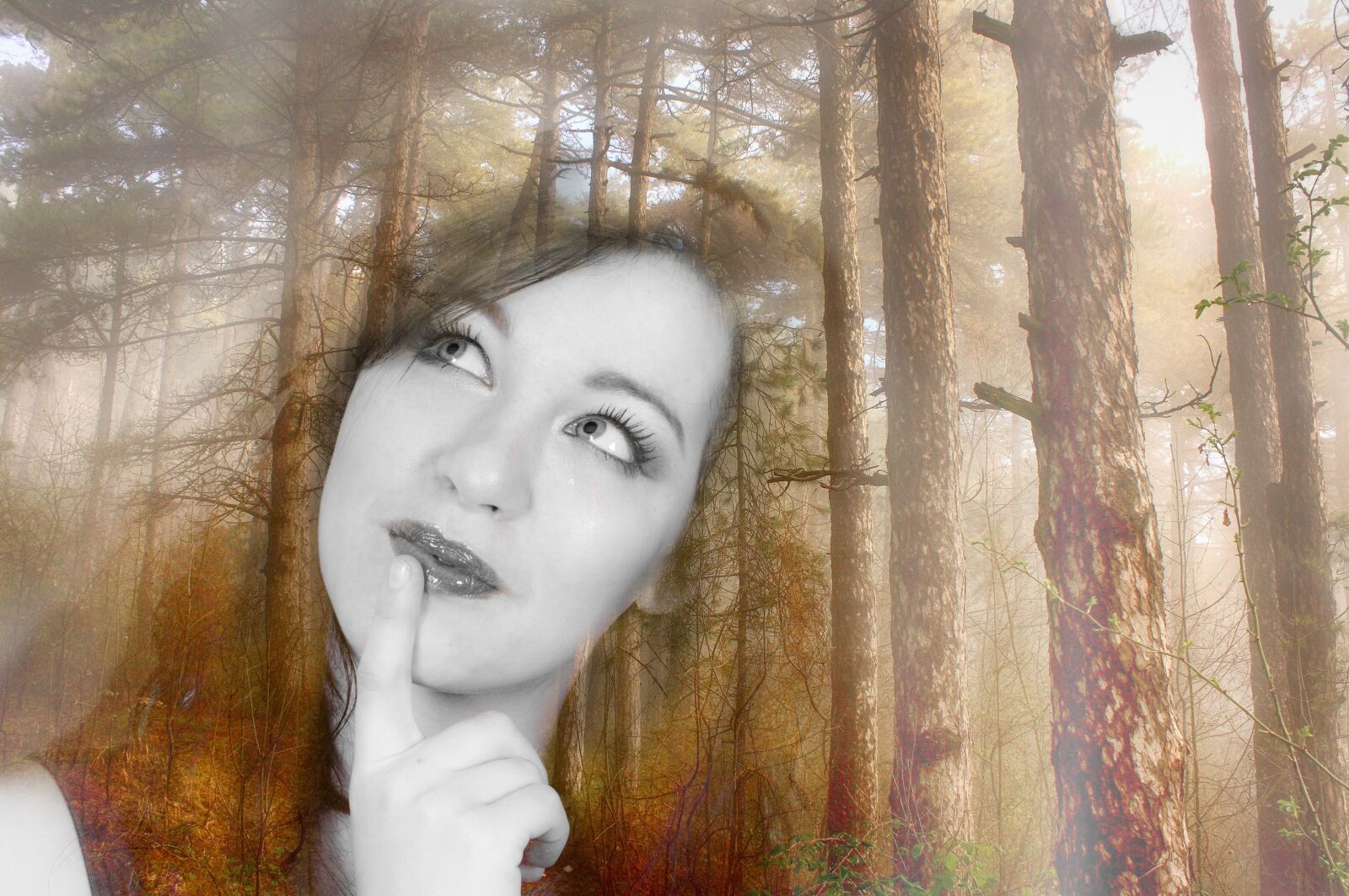 Nikon D300S sample photo. Dream, fantasy, imagination photography