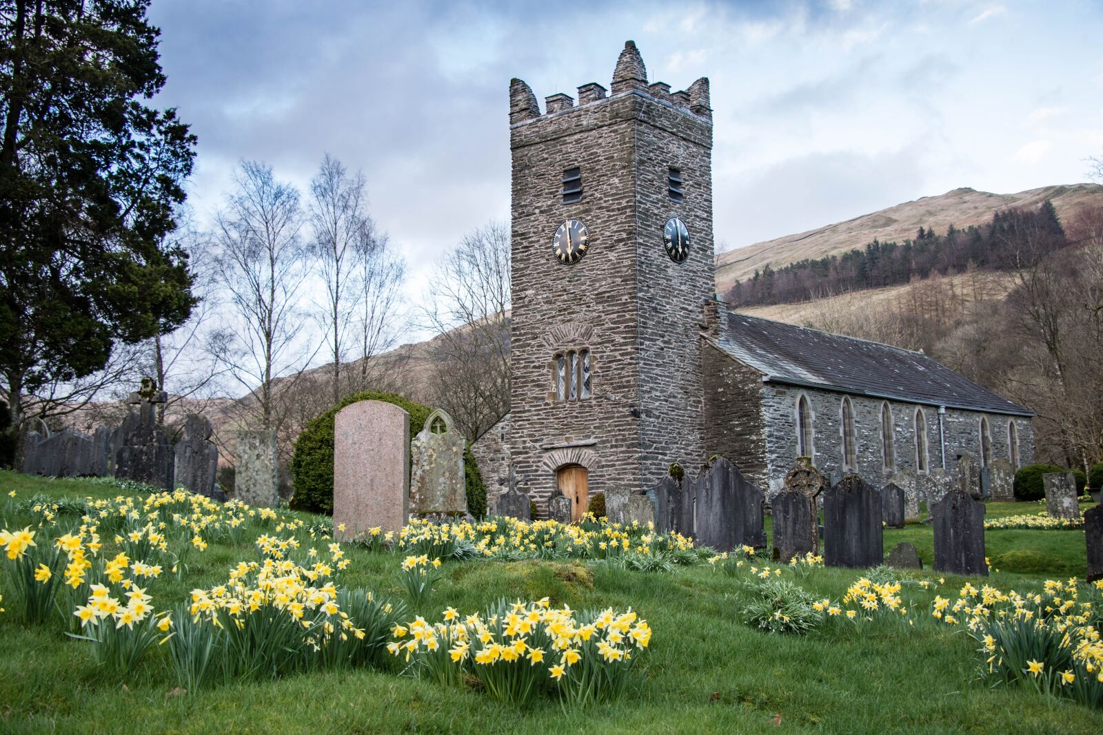 Canon EF-S 18-135mm F3.5-5.6 IS USM sample photo. Church, spring, daffodils photography
