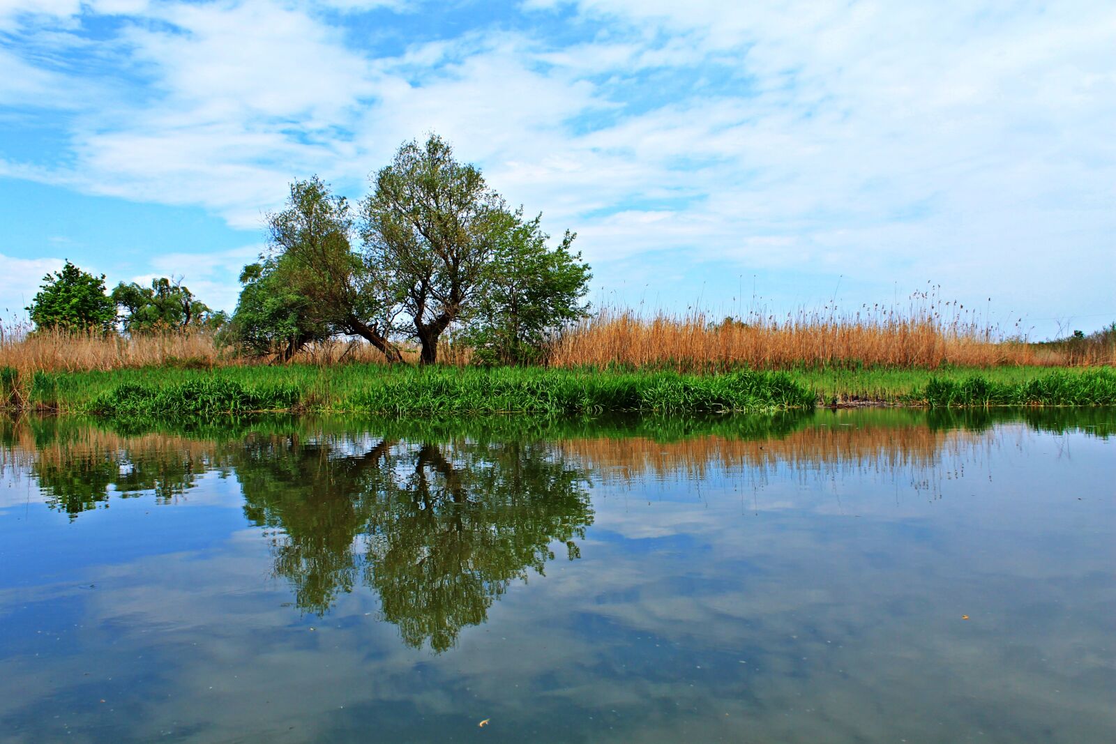 Canon EOS 1100D (EOS Rebel T3 / EOS Kiss X50) sample photo. Reflection, nature, calm photography