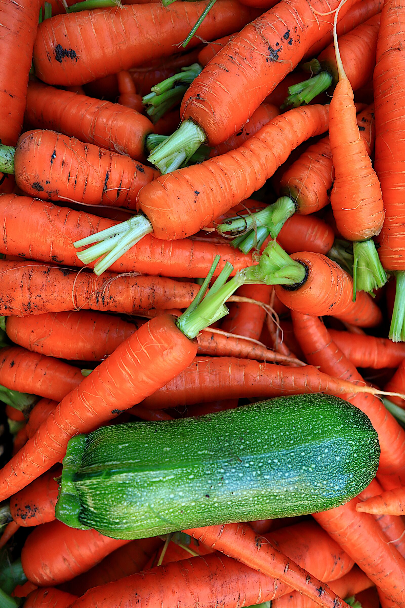 Canon PowerShot G1 X Mark III sample photo. Vegetables, carrots, zucchini photography