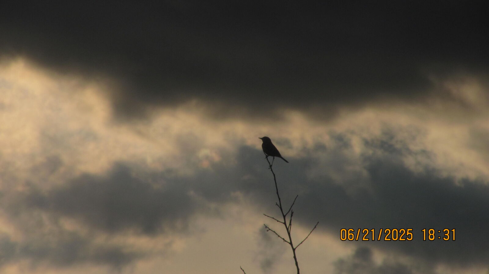 Canon PowerShot SX120 IS sample photo
