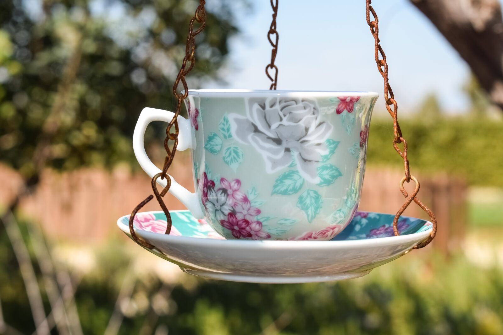 Nikon D3300 sample photo. Cup, decorative, vintage photography