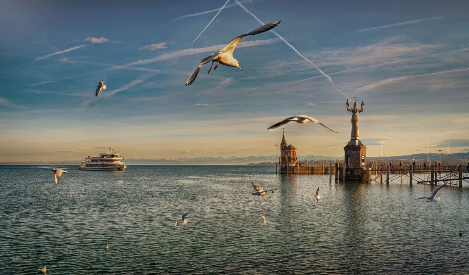Nikon D7100 sample photo. Flight, port, bird photography