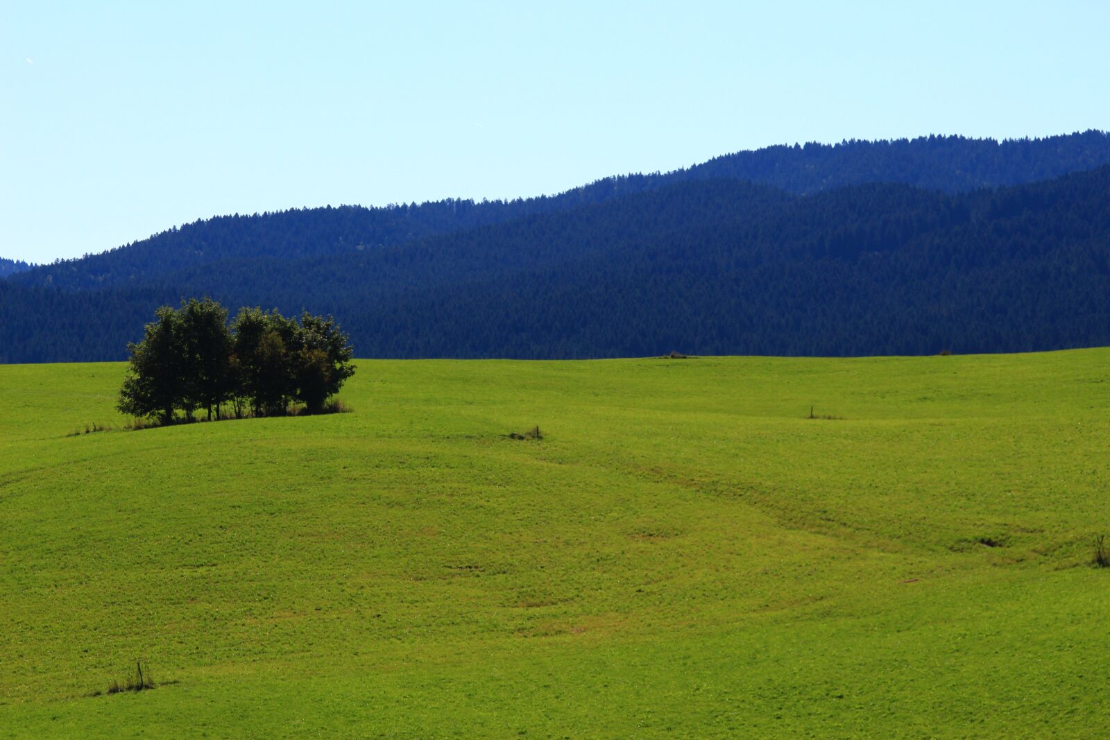 EF35-135mm f/4-5.6 USM sample photo. Asiago, plateau, prato photography