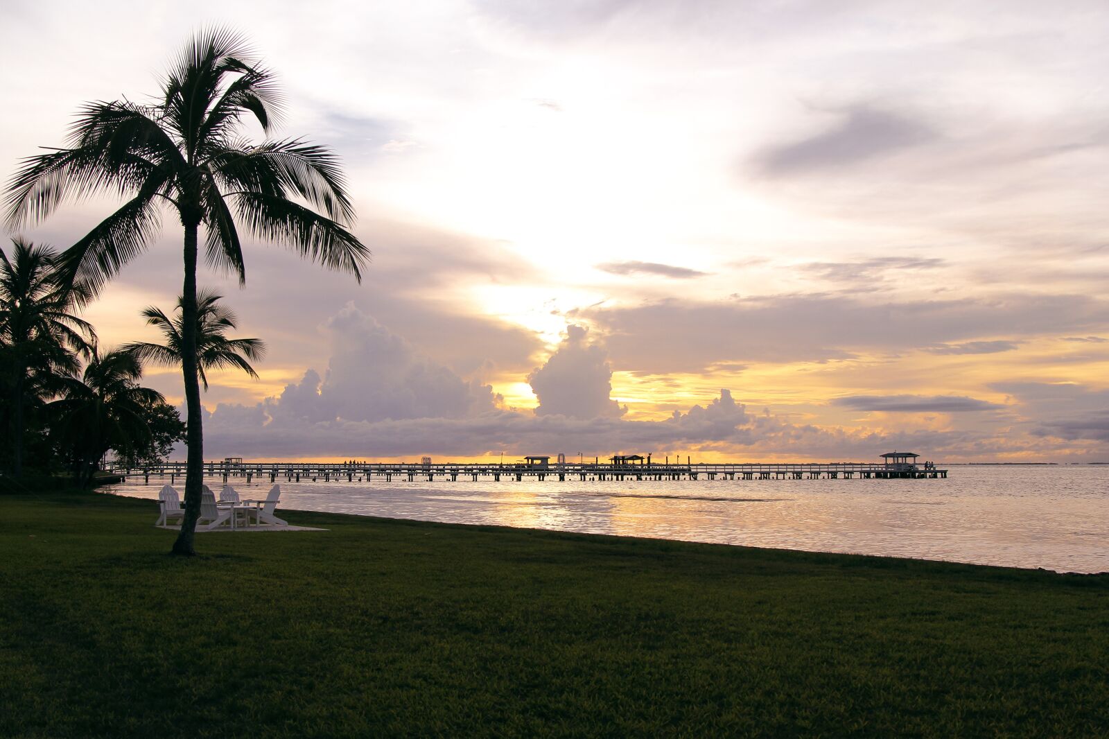 Canon EOS 60D + Canon EF 24-105mm F4L IS USM sample photo. Sunset, cloud, palm tree photography