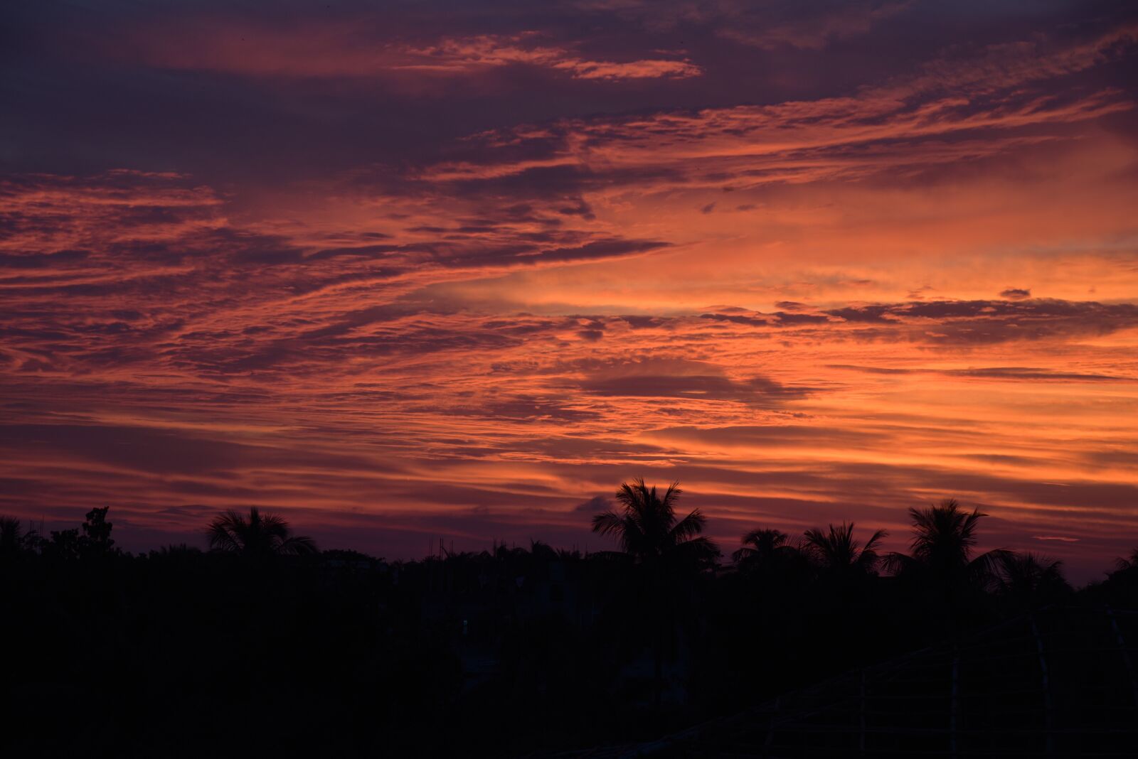 Nikon D750 sample photo. Sky, cloud, sun photography