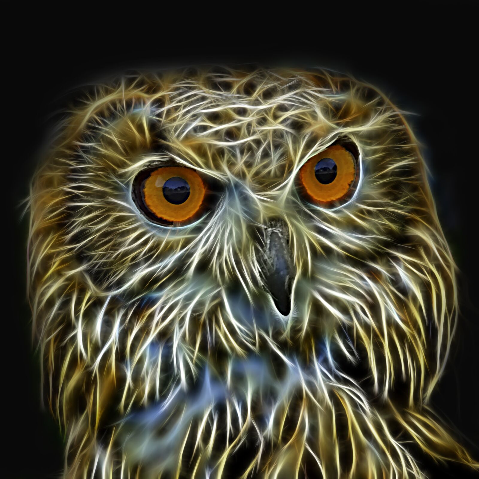 Fujifilm FinePix HS50 EXR sample photo. Owl, night, bird photography