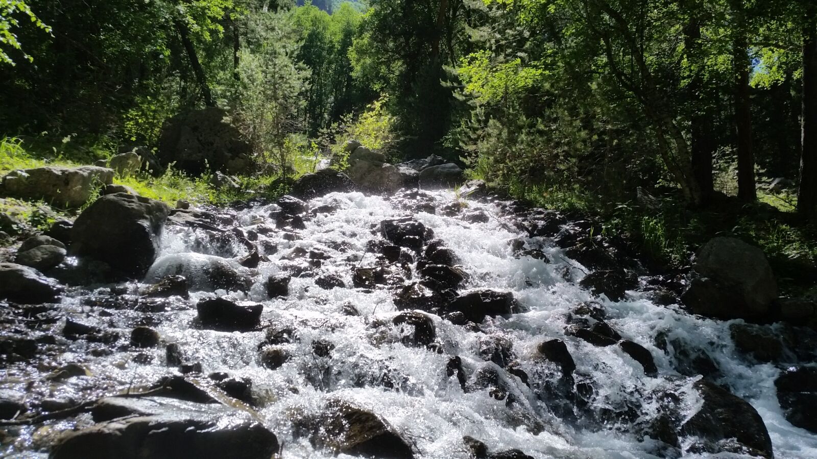 Samsung Galaxy S5 sample photo. Creek, mountain stream, mountain photography
