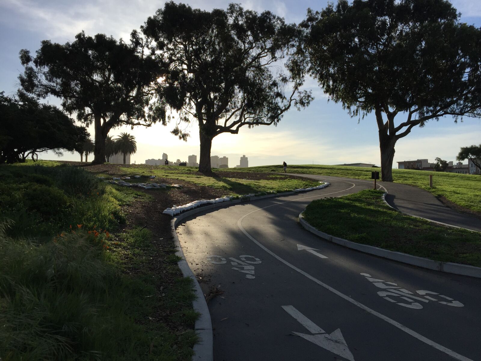 Apple iPhone 6 sample photo. San francisco, park, cycle photography