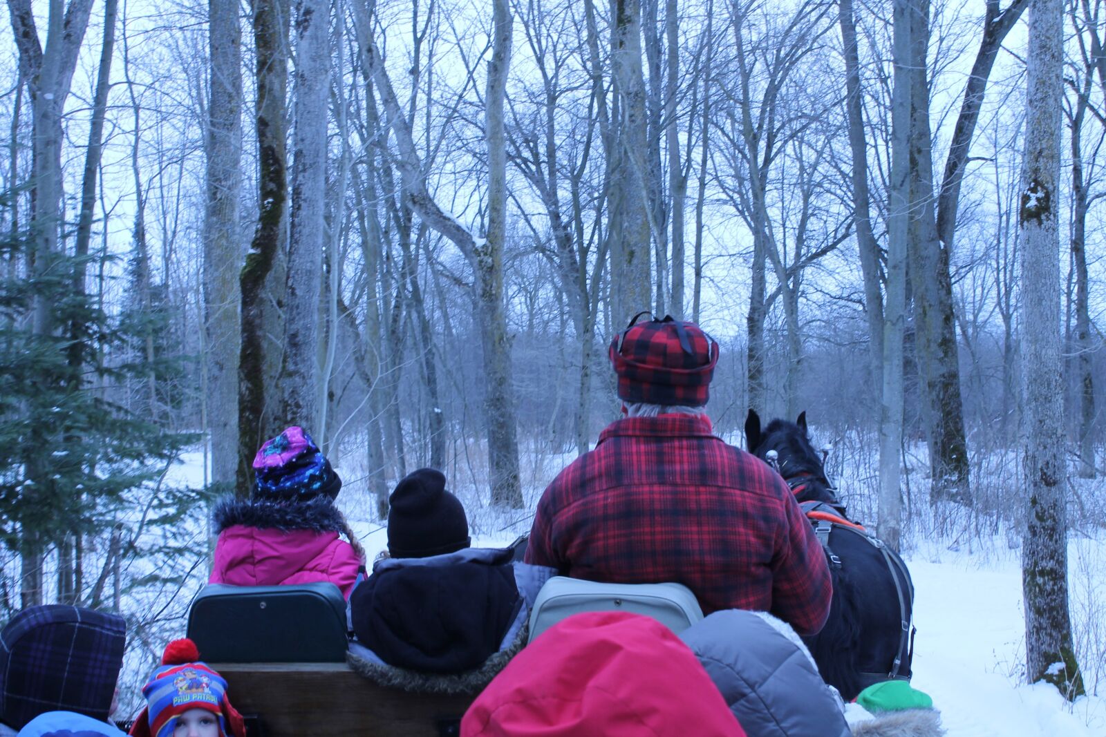 Canon EOS 1100D (EOS Rebel T3 / EOS Kiss X50) sample photo. Winter, sleigh, horse photography