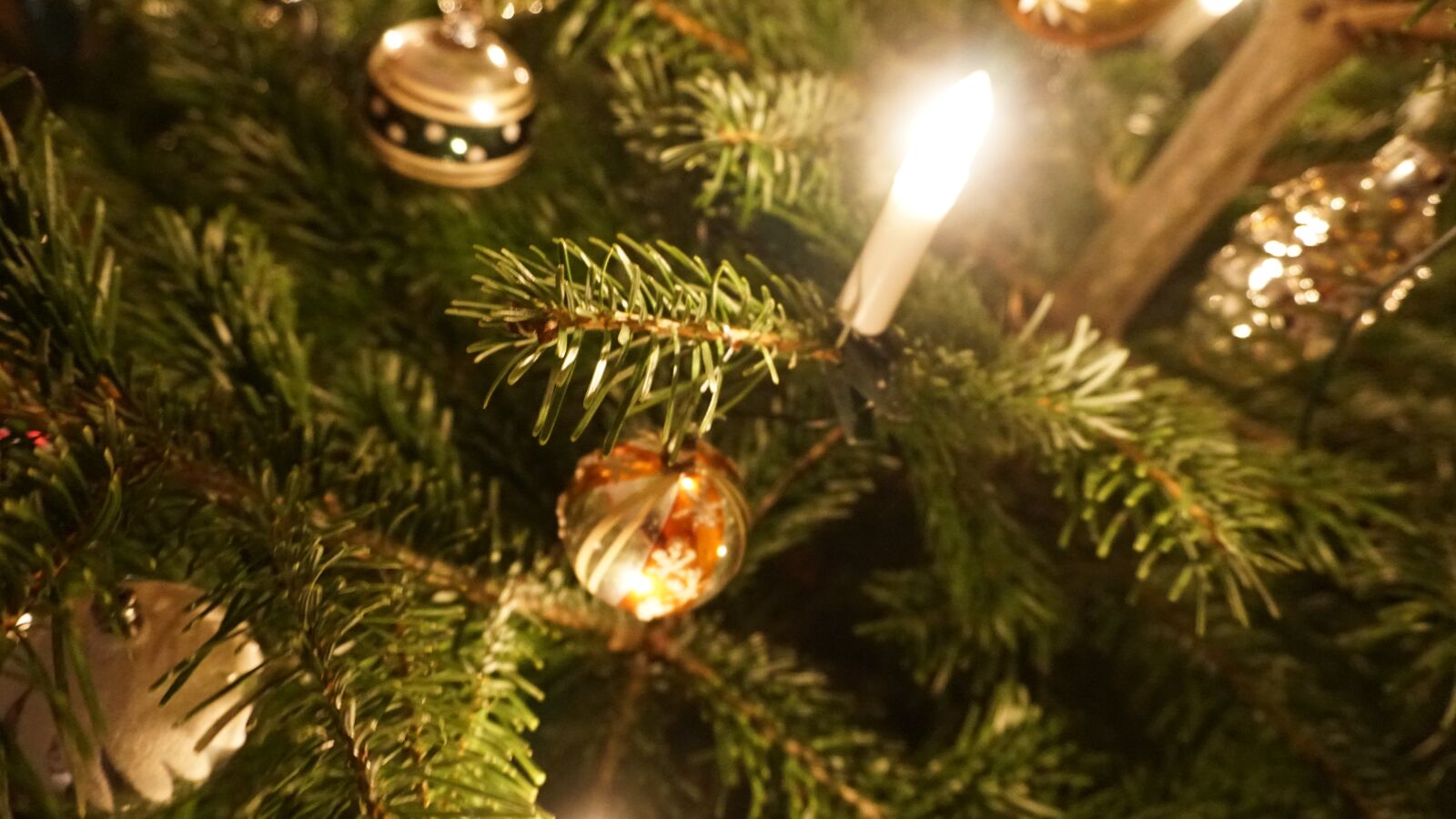 Sony a6300 sample photo. Fir tree, christmas, christmas photography